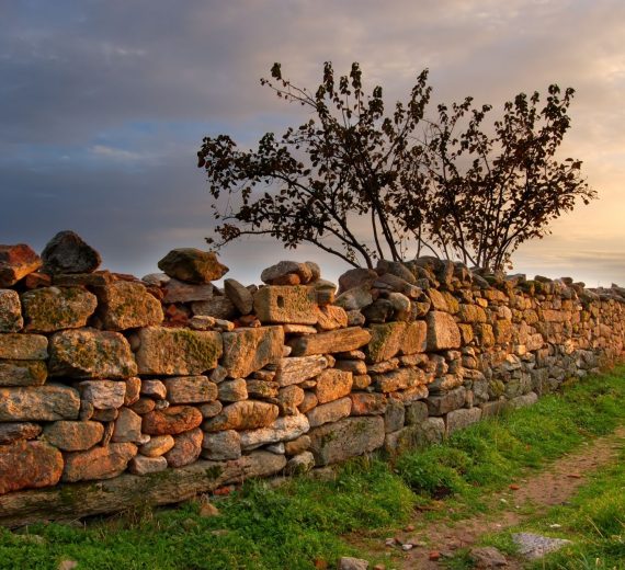 Untitled design (10)